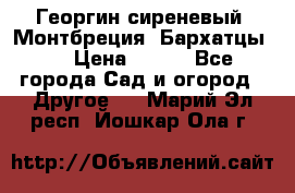 Георгин сиреневый. Монтбреция. Бархатцы.  › Цена ­ 100 - Все города Сад и огород » Другое   . Марий Эл респ.,Йошкар-Ола г.